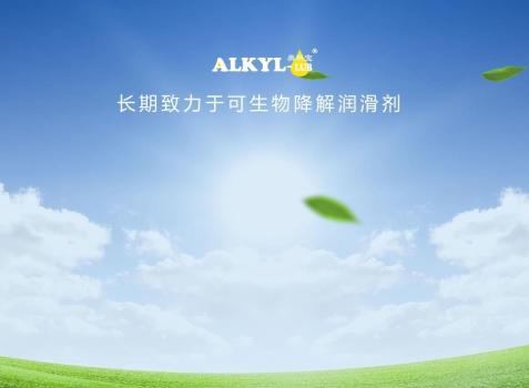 奥科宝战略、营销、管理体系建设
