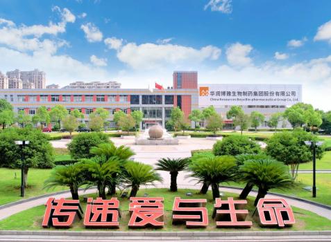 博雅医药人力资源管理体系建设咨询项目